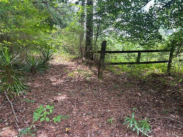 10 Acres of Residential Land for Sale in Northport, Alabama