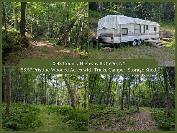 58.6 Acres of Recreational & Residential Land for Sale in Otego, New York
