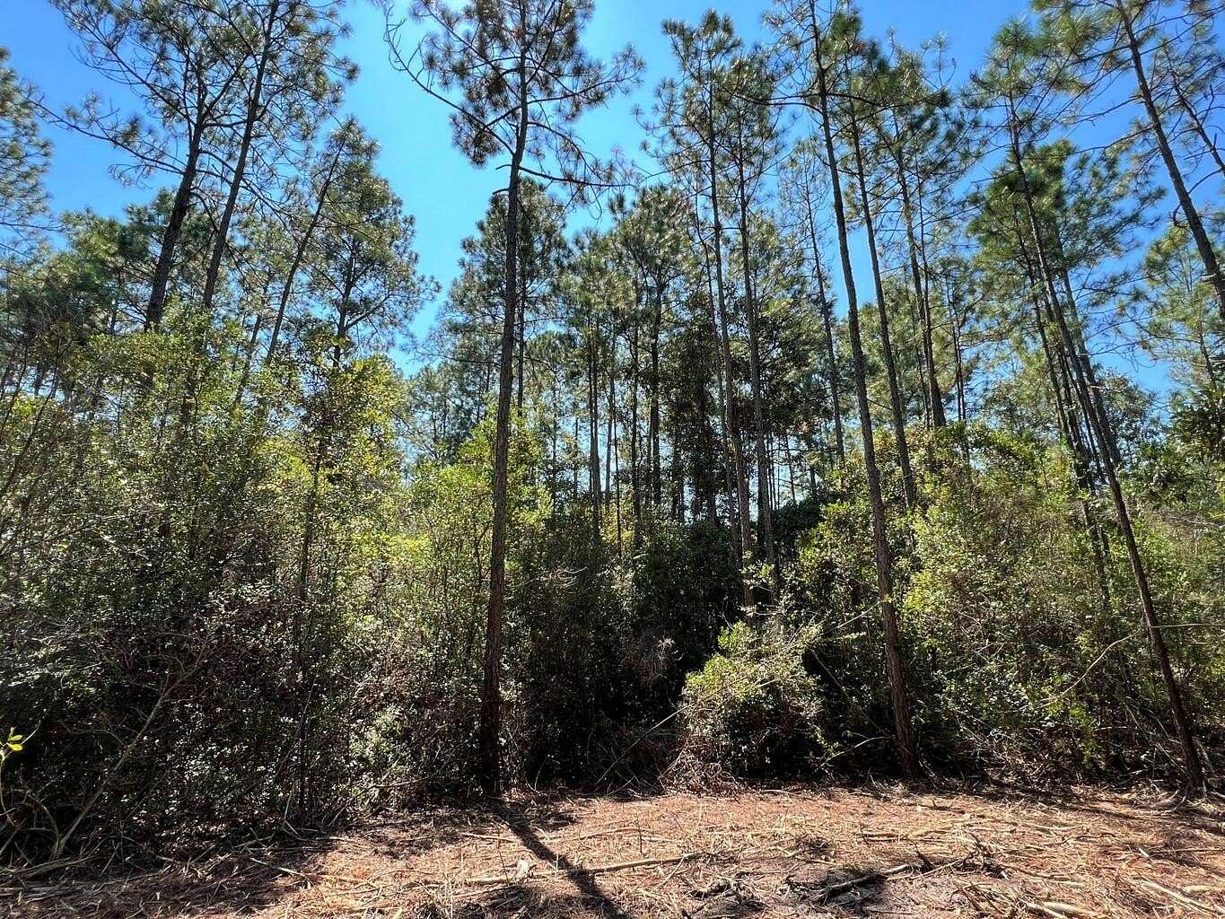 10.7 Acres of Land for Sale in DeFuniak Springs, Florida