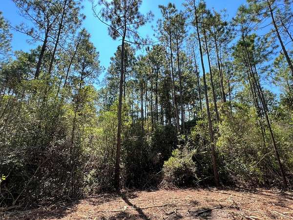 10.7 Acres of Land for Sale in DeFuniak Springs, Florida