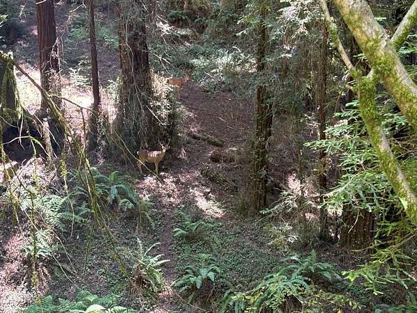 6.68 Acres of Residential Land for Sale in Corralitos, California