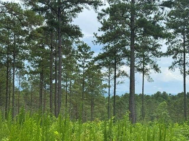 1.69 Acres of Residential Land for Sale in Ellijay, Georgia