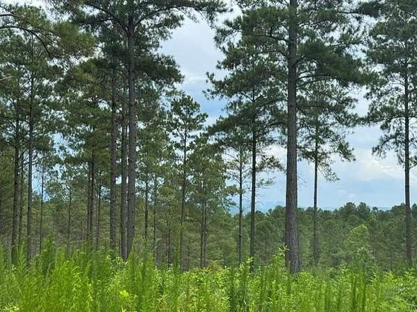 1.69 Acres of Residential Land for Sale in Ellijay, Georgia