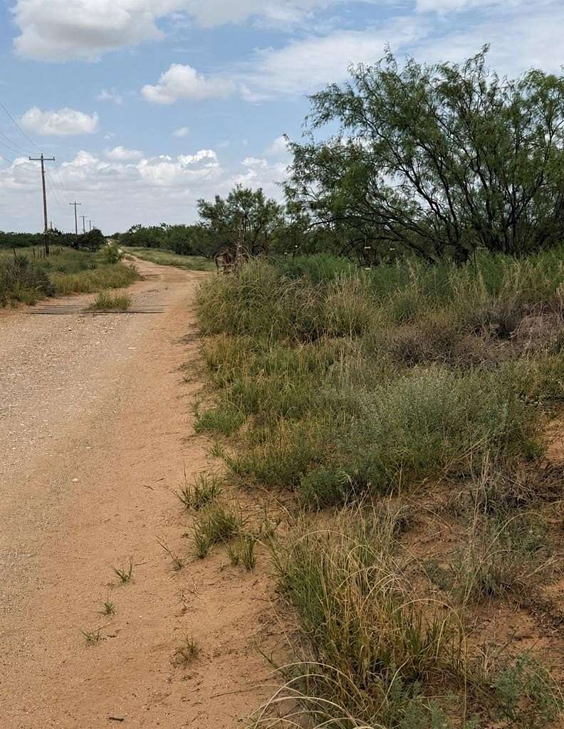 120 Acres of Land for Sale in Colorado City, Texas