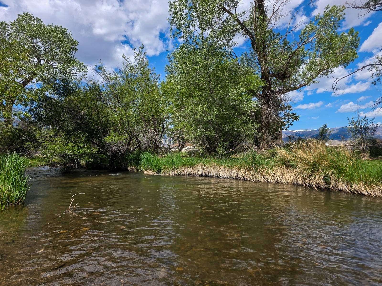 20.2 Acres of Recreational Land with Home for Sale in Clark, Wyoming