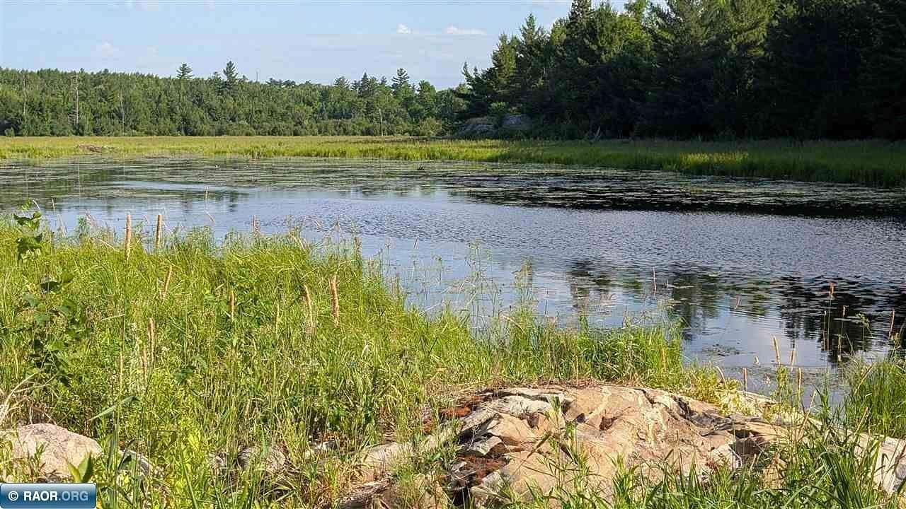 40 Acres of Recreational Land for Sale in Orr, Minnesota