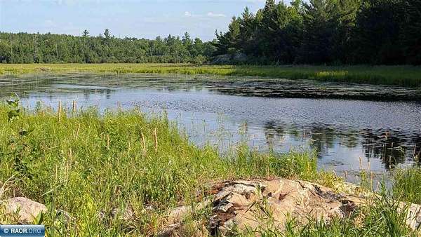 40 Acres of Recreational Land for Sale in Orr, Minnesota