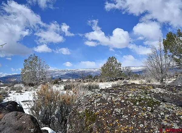 0.15 Acres of Land for Sale in Cedaredge, Colorado