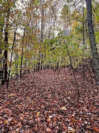 2 Acres of Land for Sale in Bryson City, North Carolina