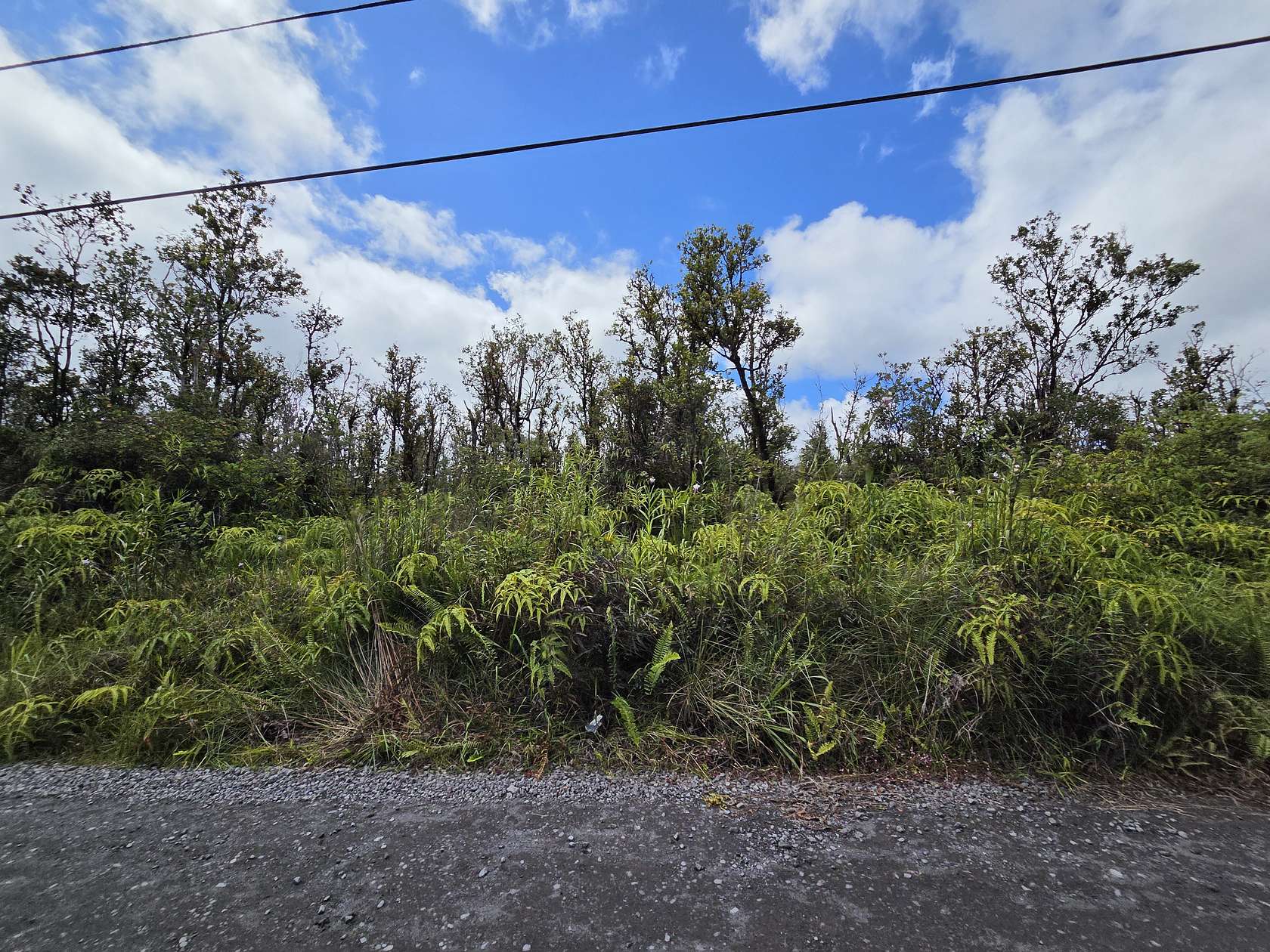 3 Acres of Residential Land for Sale in Volcano, Hawaii