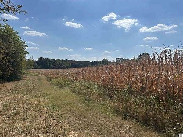 37 Acres of Land for Sale in Benton, Kentucky