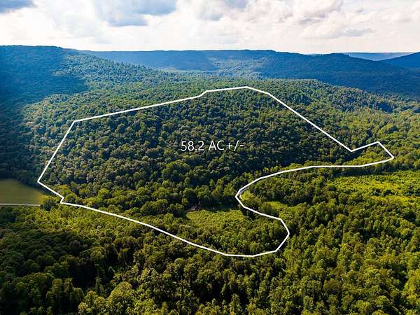58.2 Acres of Recreational Land for Auction in Crawford, Tennessee