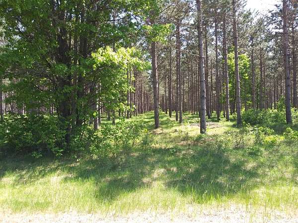 3.55 Acres of Residential Land for Sale in Nekoosa, Wisconsin