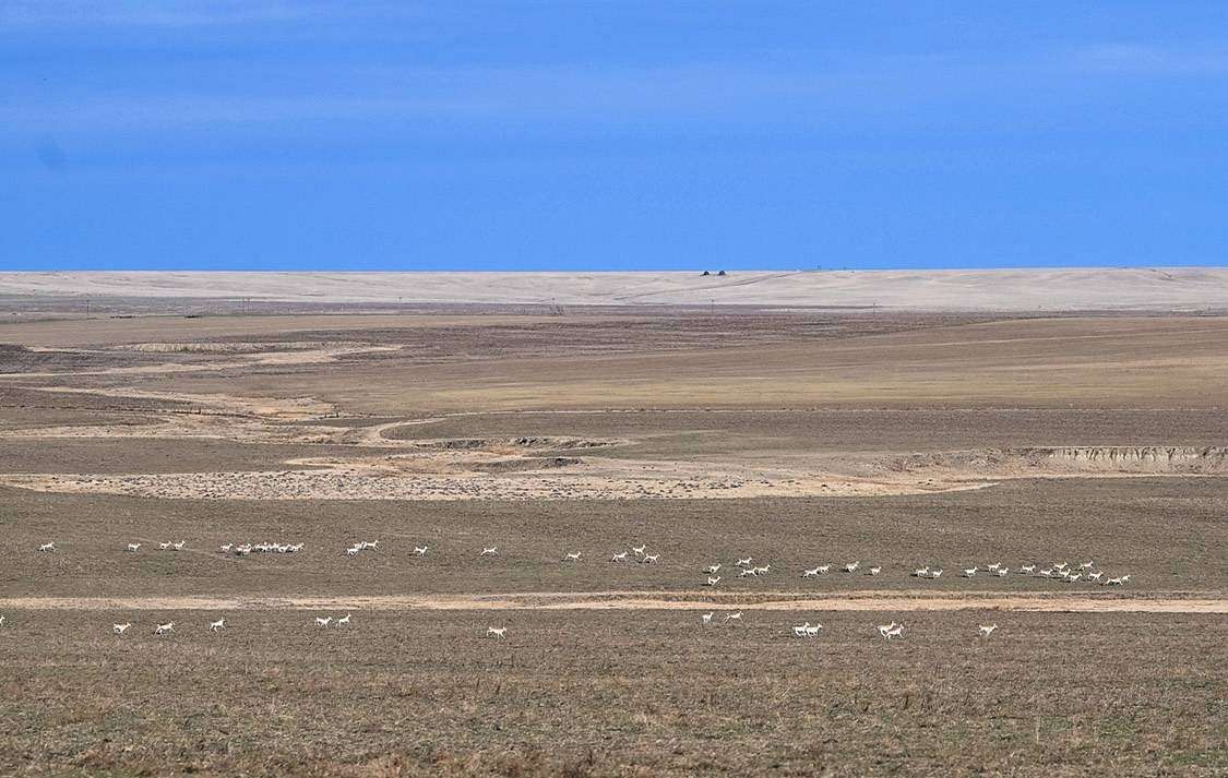 4,085 Acres of Agricultural Land for Sale in Genoa, Colorado