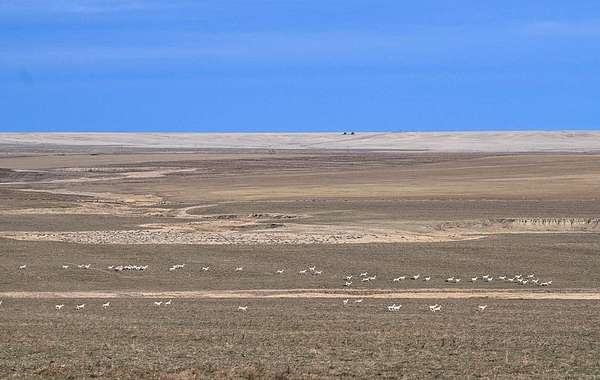 4,085 Acres of Agricultural Land for Sale in Genoa, Colorado