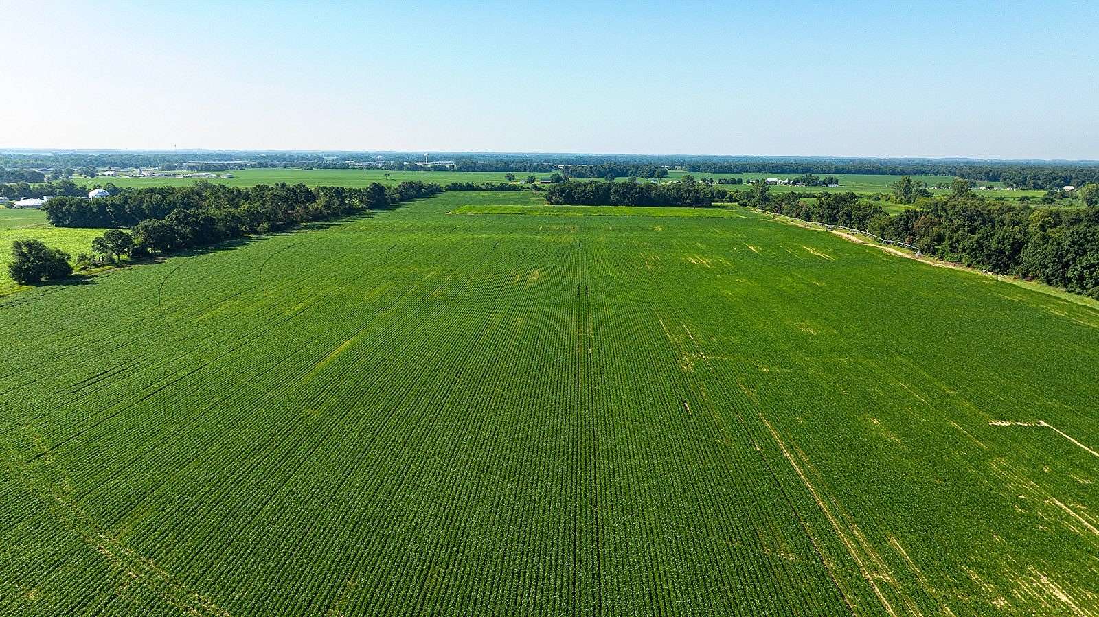 190 Acres of Land for Auction in Sturgis, Michigan