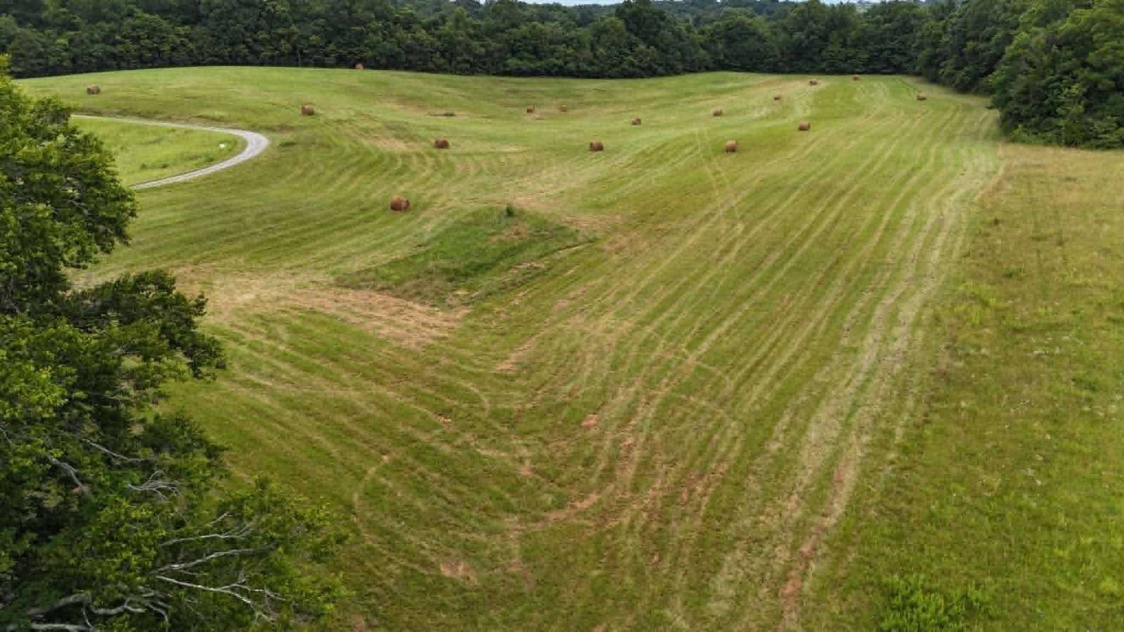 9.52 Acres of Residential Land for Sale in Columbia, Kentucky
