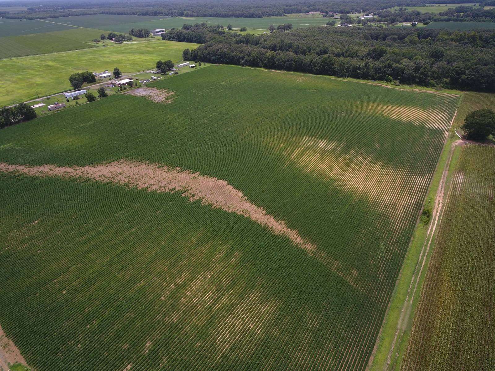 35.8 Acres of Agricultural Land for Sale in Kilbourne, Louisiana