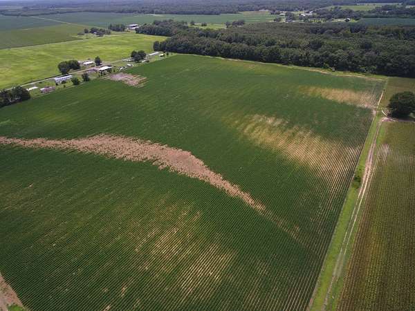 35.8 Acres of Agricultural Land for Sale in Kilbourne, Louisiana