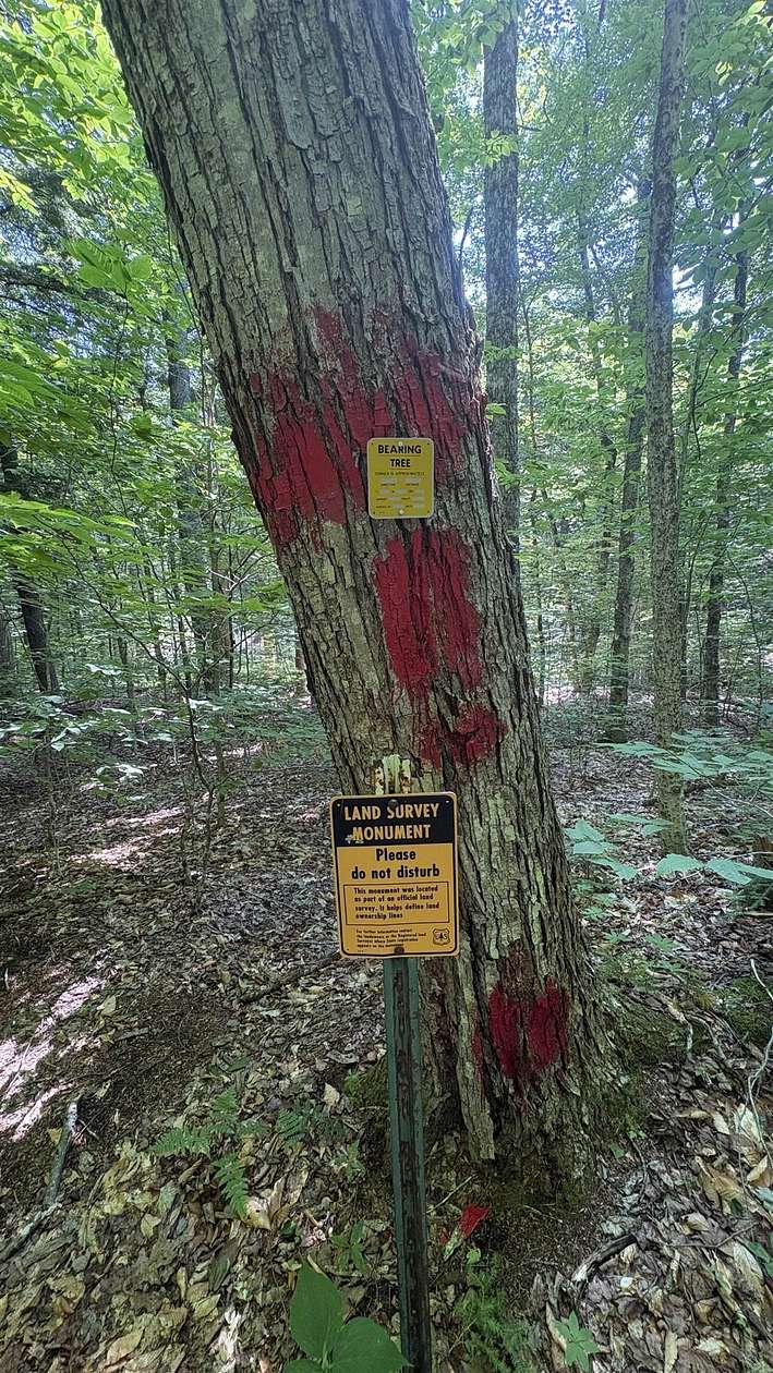 1.17 Acres of Residential Land for Sale in Thornton, New Hampshire