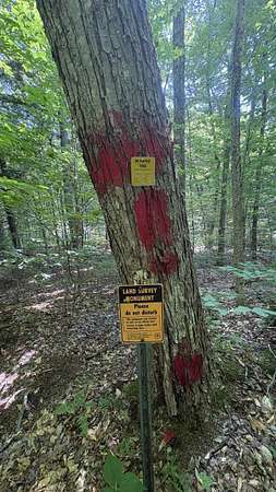 1.17 Acres of Residential Land for Sale in Thornton, New Hampshire