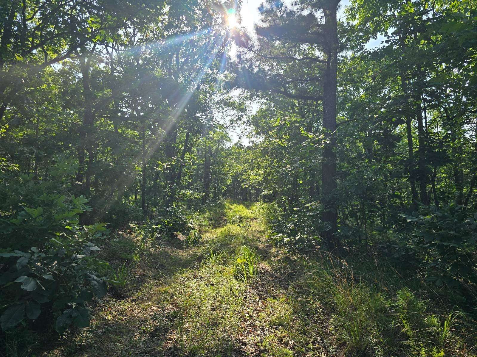 200 Acres of Recreational Land for Sale in Talihina, Oklahoma