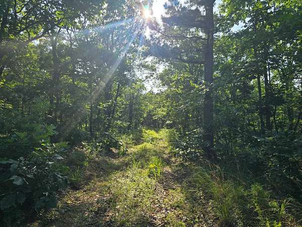 200 Acres of Recreational Land for Sale in Talihina, Oklahoma