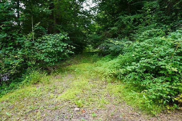 15 Acres of Land for Sale in Hanover, West Virginia