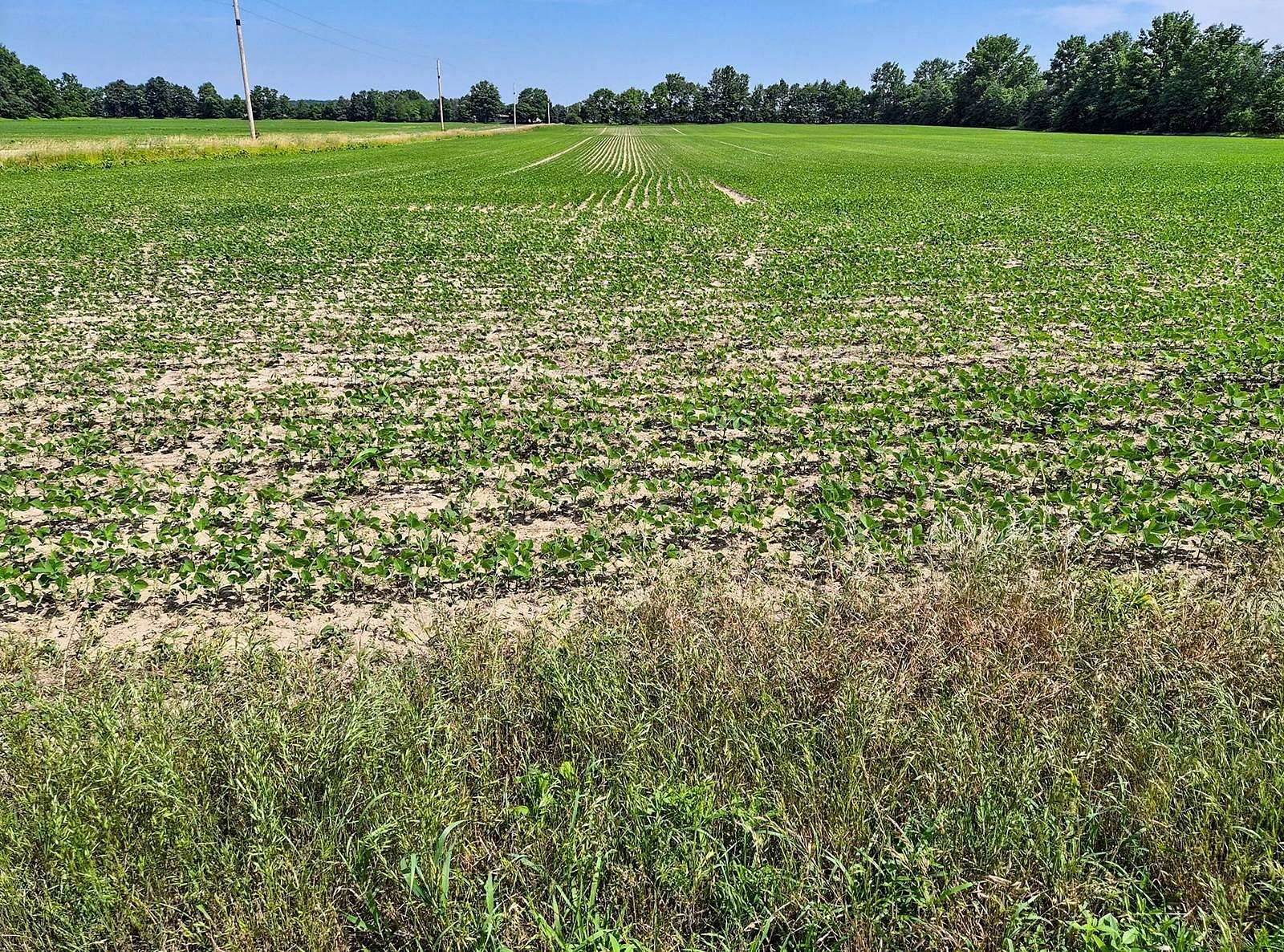 30 Acres of Agricultural Land for Auction in Warren, Indiana