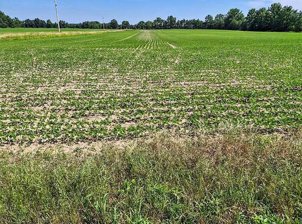 30 Acres of Agricultural Land for Auction in Warren, Indiana