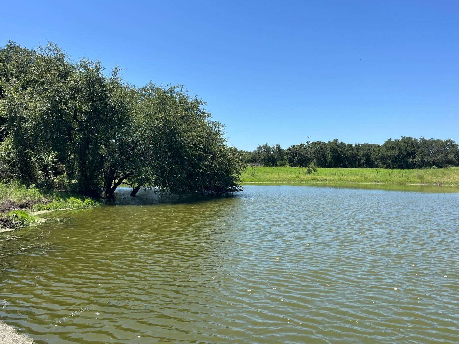 182 Acres of Agricultural & Residential Land for Sale in Gustine, Texas