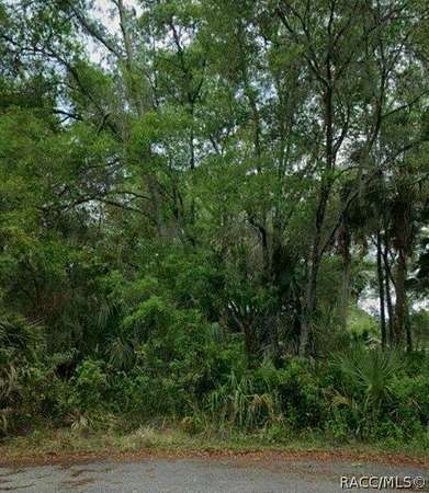 0.41 Acres of Residential Land for Sale in Crystal River, Florida