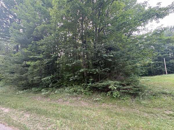 10 Acres of Land for Sale in Newberry, Michigan