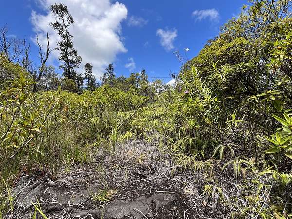 1 Acre of Residential Land for Sale in Keaau, Hawaii