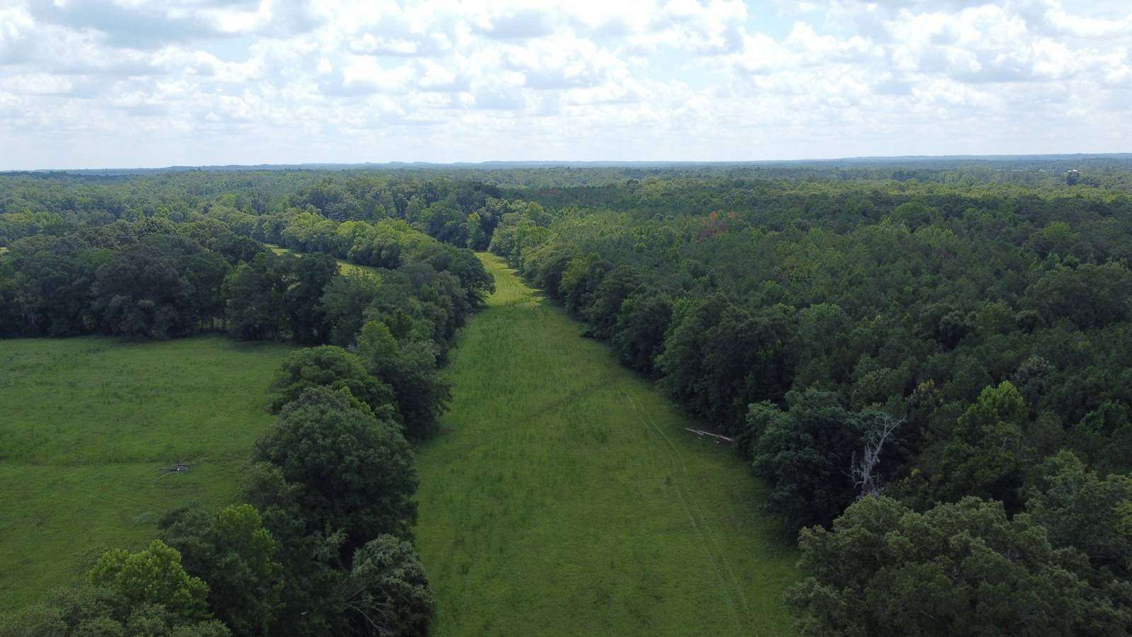 22 Acres of Land for Sale in Ada, Alabama