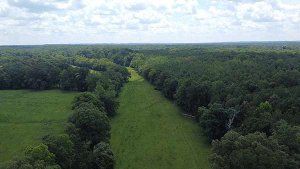 22 Acres of Land for Sale in Ada, Alabama