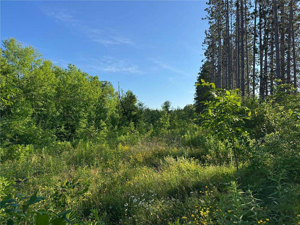 3.77 Acres of Agricultural Land for Sale in Moose Lake, Minnesota