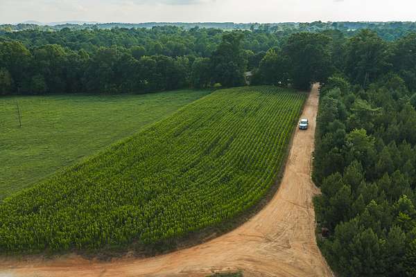 77.5 Acres of Land for Sale in Granite Falls, North Carolina