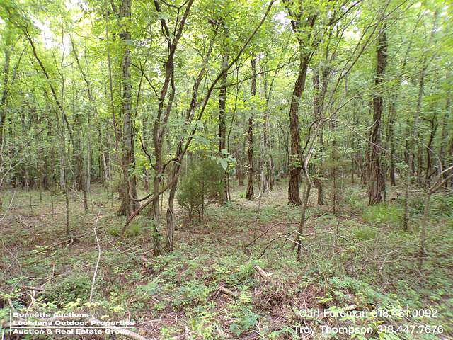 178 Acres of Recreational & Residential Land for Sale in Bunkie, Louisiana