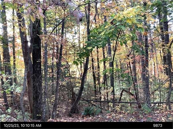 1.8 Acres of Residential Land for Sale in Ellijay, Georgia