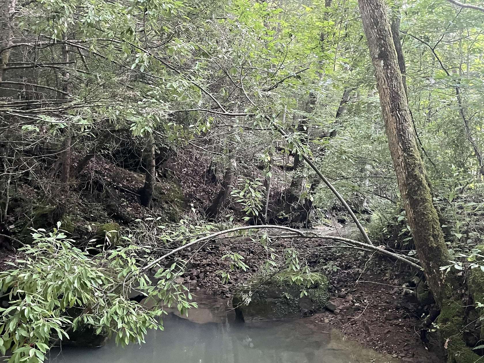 225 Acres of Recreational Land for Sale in Strunk, Kentucky
