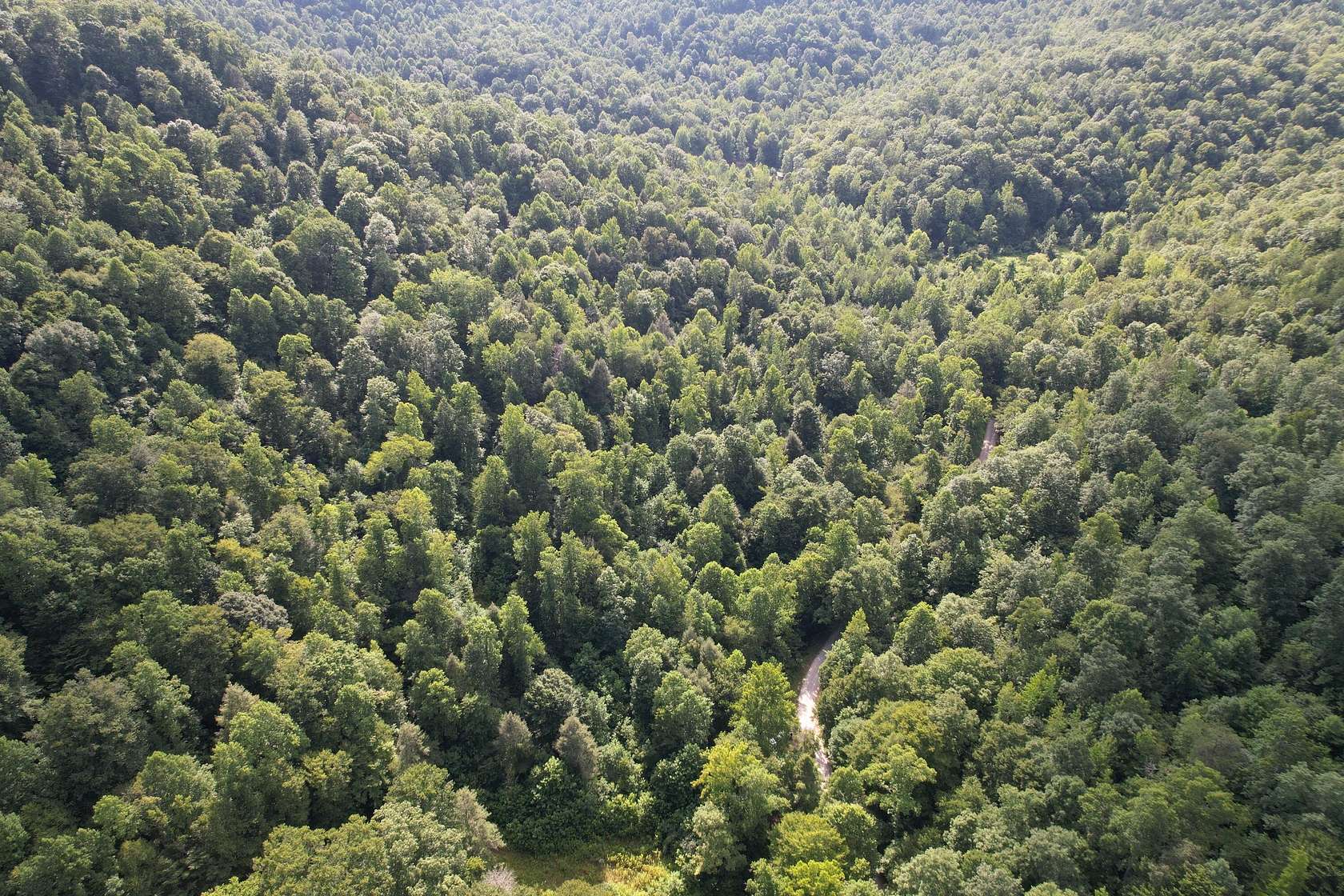 225 Acres of Recreational Land for Sale in Strunk, Kentucky