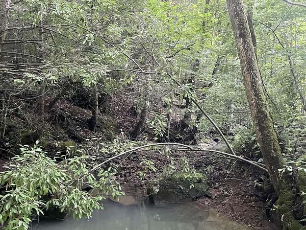 225 Acres of Recreational Land for Sale in Strunk, Kentucky