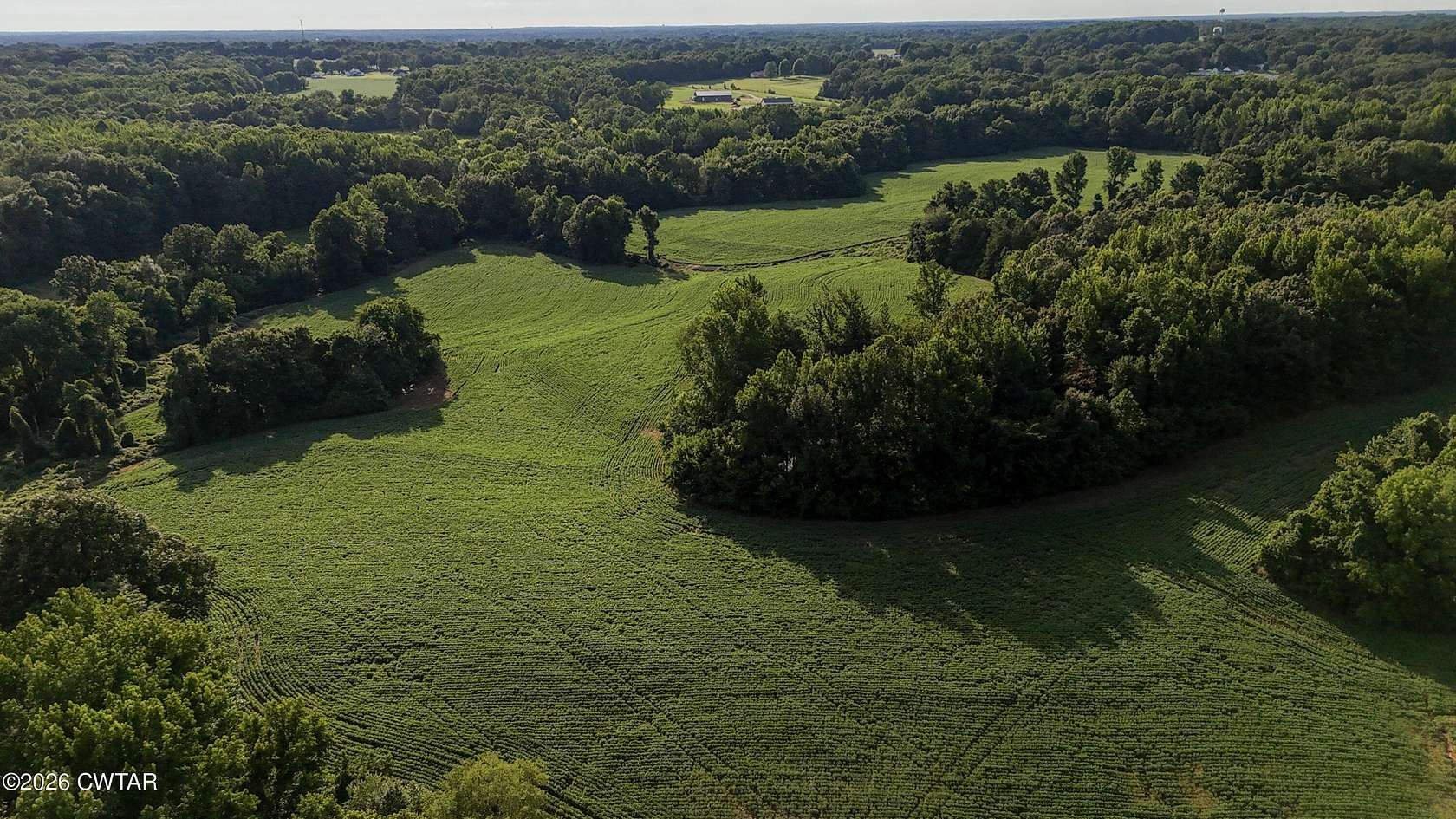 97.9 Acres of Land for Sale in Medina, Tennessee