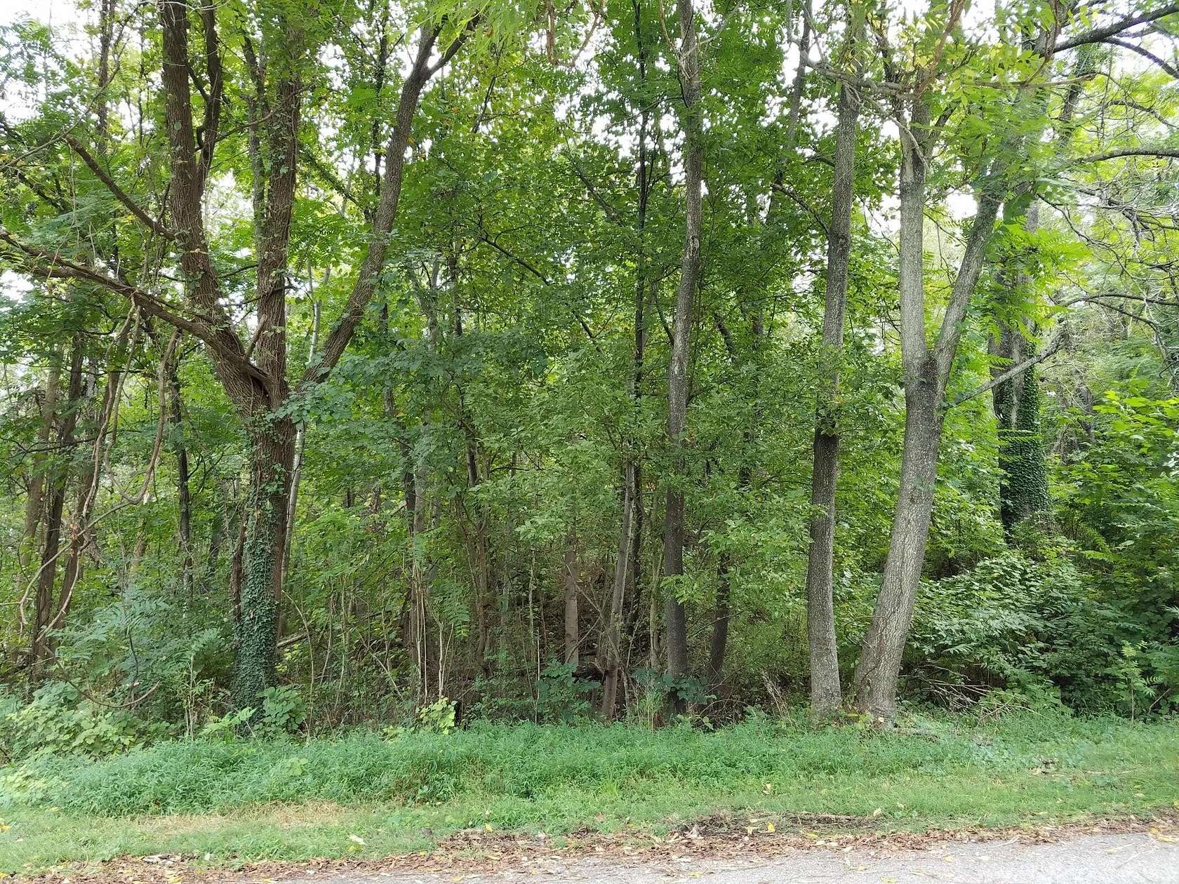 0.36 Acres of Residential Land for Sale in Roanoke, Virginia