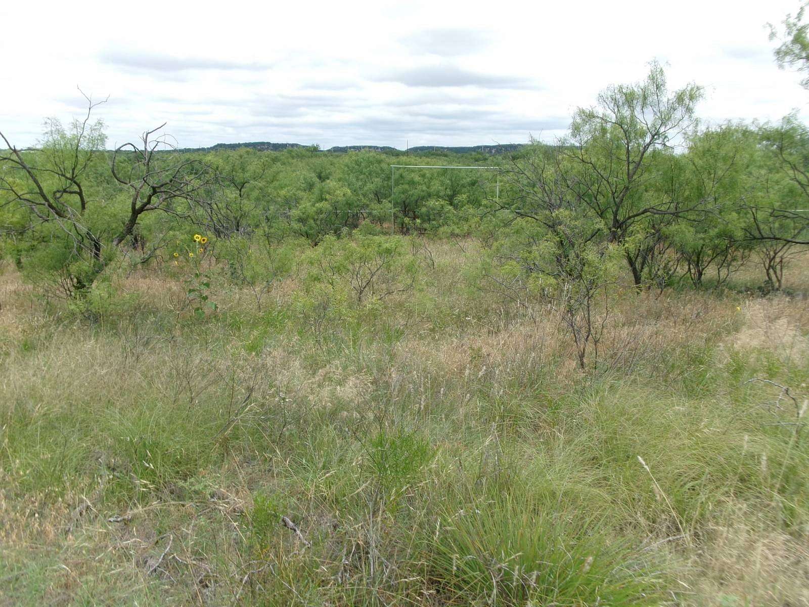 16.5 Acres of Land with Home for Sale in Ovalo, Texas