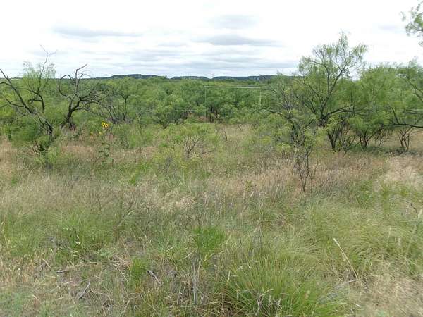 16.5 Acres of Land with Home for Sale in Ovalo, Texas