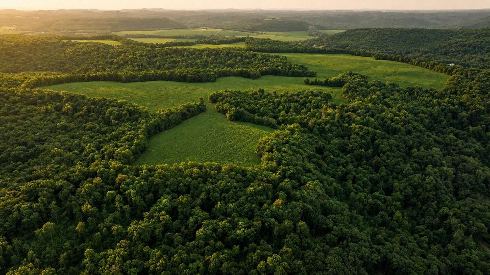 388 Acres of Land for Sale in South Salem, Ohio