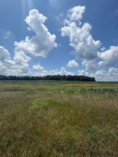69.3 Acres of Land for Sale in Leesburg, Ohio