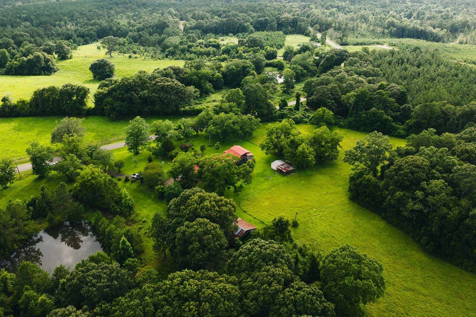 33.5 Acres of Land with Home for Sale in Richton, Mississippi